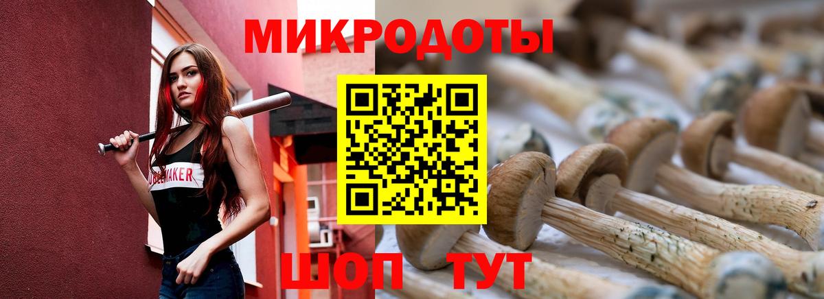Галлюциногенные грибы мухоморы  Вход с VPN  Славгород  закладки  Псилоцибиновые грибы MAGIC MUSHROOMS 